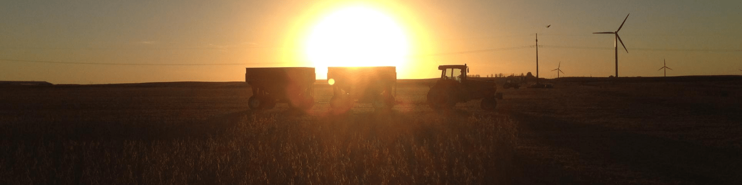 sunset tractor in field